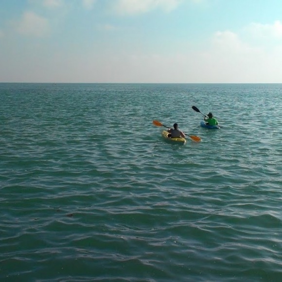 Meet your Posher, Kathryn - Picture 1 of 1